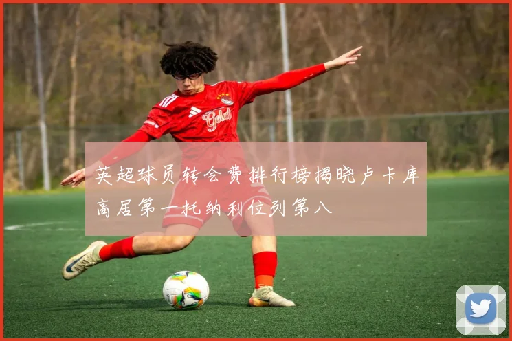 英超球员转会费排行榜揭晓卢卡库高居第一托纳利位列第八