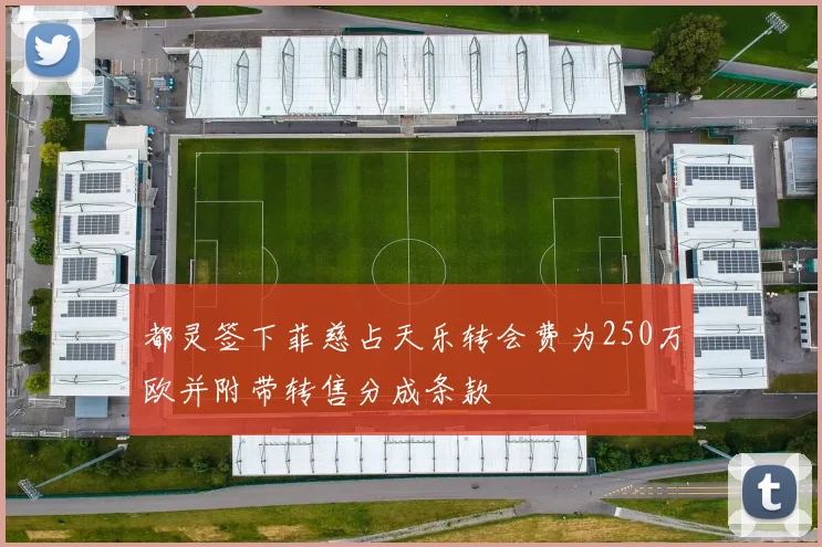 都灵签下菲慈占天乐转会费为250万欧并附带转售分成条款